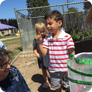 Children observing butterfly habitat in playground.