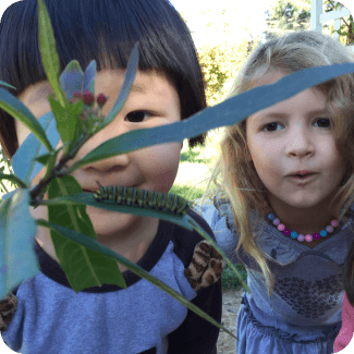 Children observing caterpillar on a plant.
