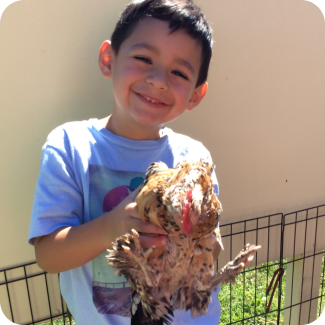 Child smiling while holding a chicken.