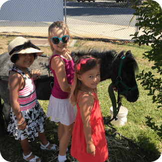 Children petting a small black pony outdoors.