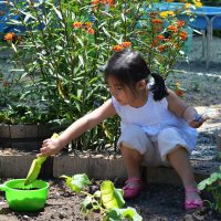 Child gardening with plants and flowers.
